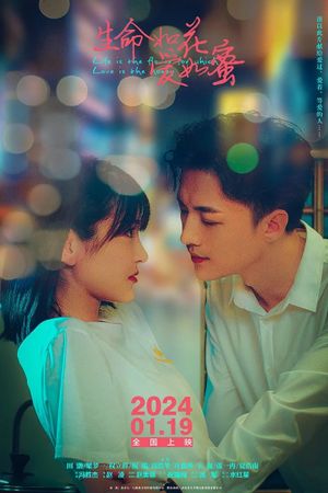 Tonghua Girl's poster