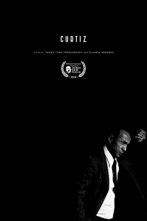 Curtiz's poster