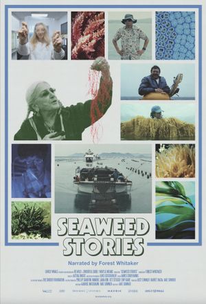 Seaweed Stories's poster