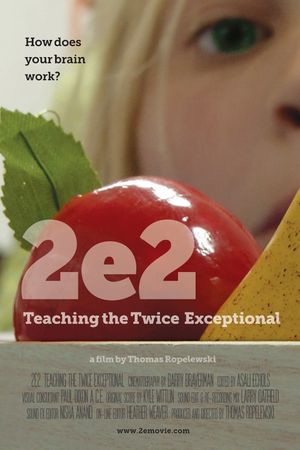 2e: Teaching the Twice Exceptional's poster