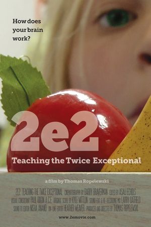 2e: Teaching the Twice Exceptional's poster image