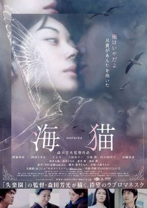 Sea Cat's poster