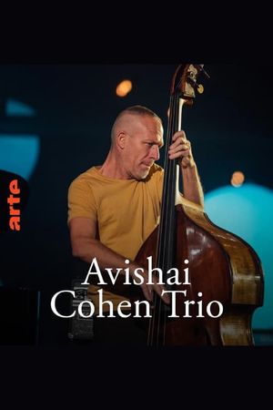 Avishai Cohen Trio – Shifting sands's poster