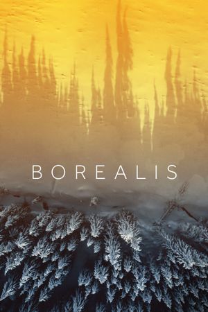 Borealis's poster