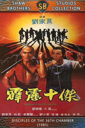 Disciples of the 36th Chamber's poster
