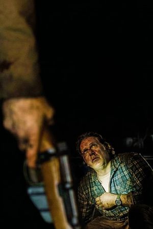 Coming Home in the Dark's poster