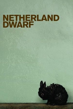Netherland Dwarf's poster