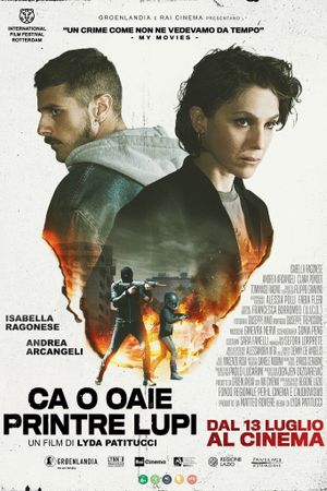 Like Sheep Among Wolves's poster
