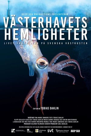 Västerhavets hemligheter's poster