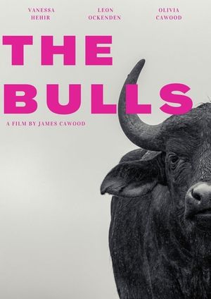 The Bulls's poster