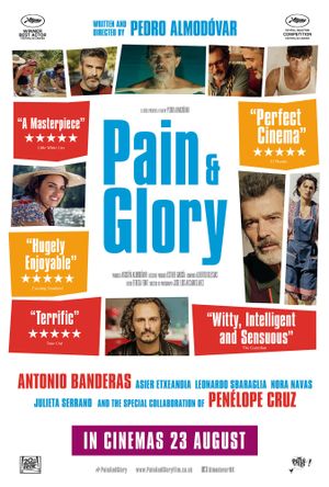 Pain and Glory's poster