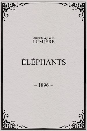 Elephants's poster