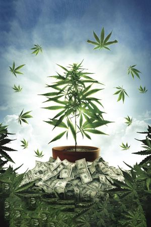 The Union: The Business Behind Getting High's poster