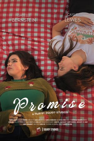 Promise's poster