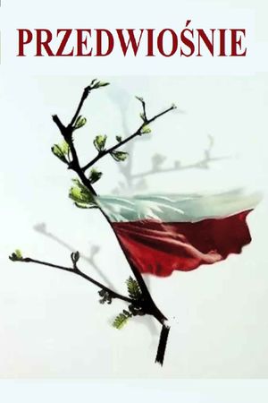 The Spring to Come's poster