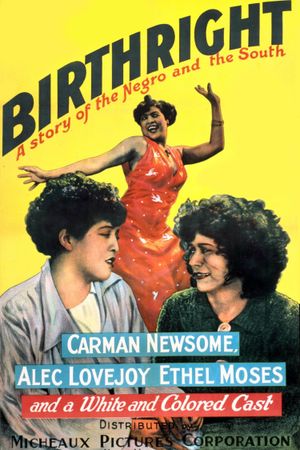 Birthright's poster
