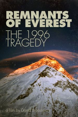 Remnants of Everest: The 1996 Tragedy's poster