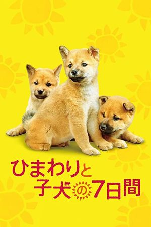 Seven Days of Himawari and Her Puppies's poster image
