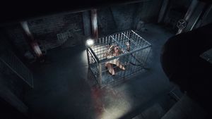Pet's poster