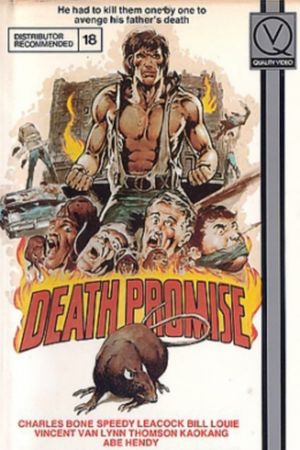 Death Promise's poster