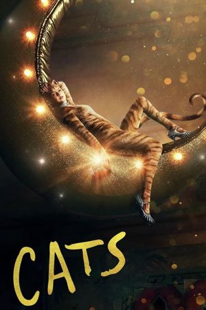 Cats's poster