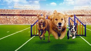 Puppy Bowl Presents: The Dog Games's poster