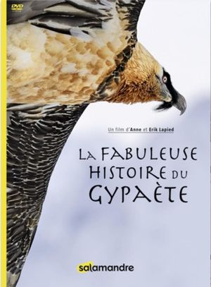 The Fabulous History of the Bearded Vulture's poster