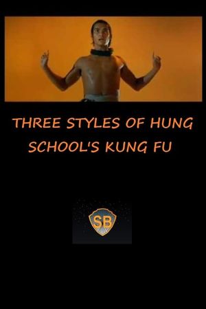 Three Styles of Hung School's Kung Fu's poster