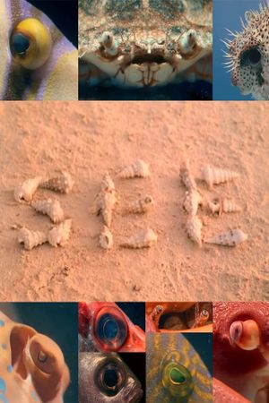 SEE's poster