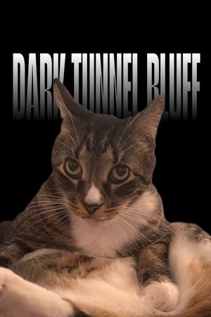 Dark Tunnel Bluff's poster