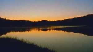 Jasper Beach and The Salt Marsh's poster