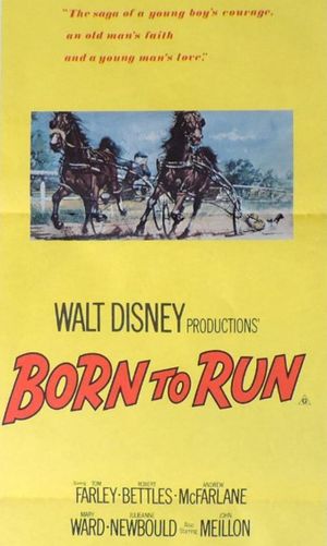 Born to Run's poster