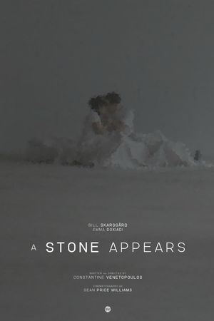 A Stone Appears's poster