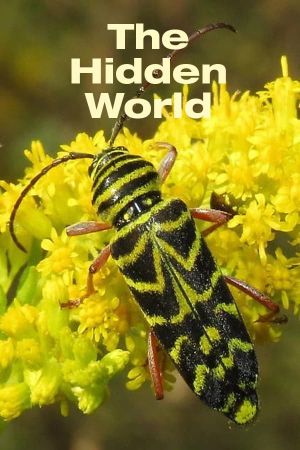 The Hidden World's poster