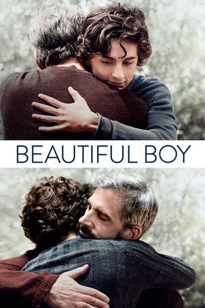Beautiful Boy's poster