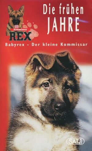 Baby Rex's poster