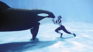 Blackfish's poster