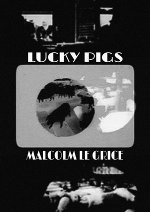 Lucky Pigs's poster