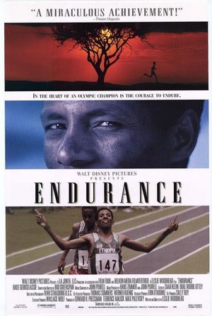 Endurance's poster