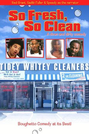 So Fresh, So Clean... a Down and Dirty Comedy's poster image