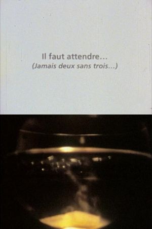 Il faut attendre (jamais deux sans trois)'s poster image