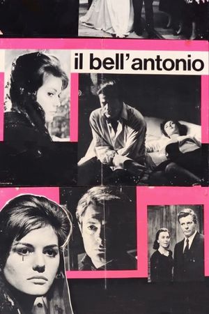Bell' Antonio's poster