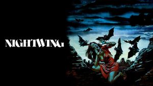 Nightwing's poster