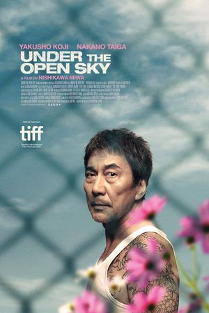 Under the Open Sky's poster