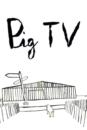 Pig TV's poster image