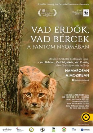 Vad erdök, vad bércek - A fantom nyomában's poster image