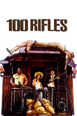100 Rifles's poster