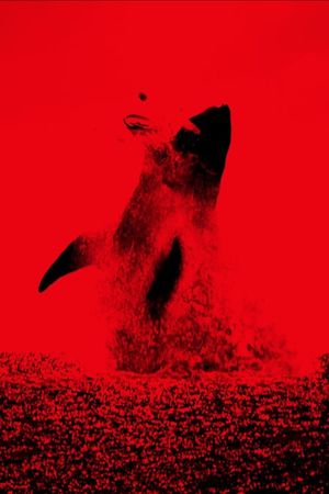 The Black Demon's poster