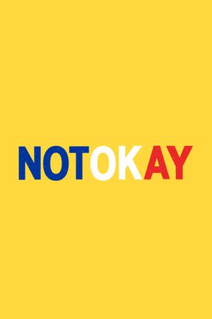 Not Okay's poster