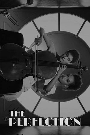 The Perfection's poster